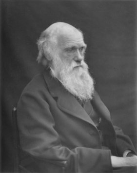 Charles Darwin, fotograferet 1884.